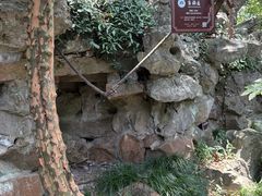 -绮园景区