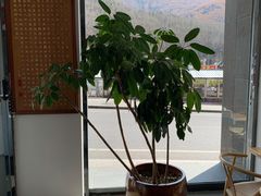 -和雅集素斋(景区店)