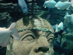 -成都浩海立方海洋公园