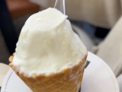 -野人先生Gelato(上海长宁龙之梦店)