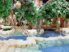 -中铁花水湾温泉酒店(大邑店)