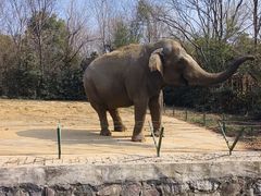 -合肥野生动物园