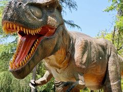 -西峡恐龙遗迹园