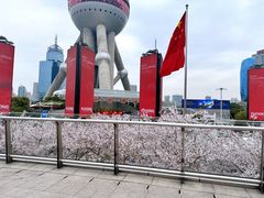 -东方明珠广播电视塔