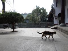 -南华禅寺
