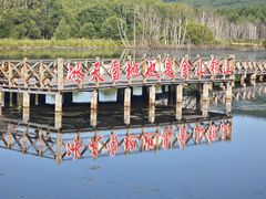 -洮儿河国家湿地公园