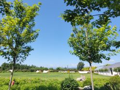 -优沃得自然教育农场·冰雪乐园·生日会·研学