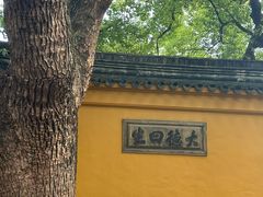 -西园戒幢律寺