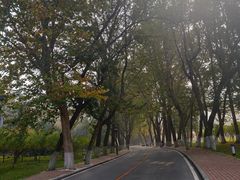 -棒棰岛宾馆景区