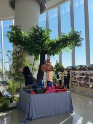 -IMON·HANSA潮玩玩偶毛绒玩具(通州万象汇店)