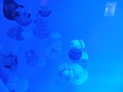 -福州罗源湾海洋世界旅游区