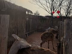 -白鹿原影视城