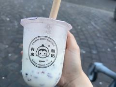 -有米酸奶