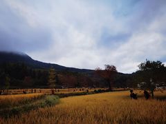 -塔川景区