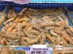-鲜得莱渔港·小平岛海胆馆(七贤岭店)