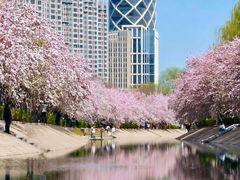 -海棠花溪(元大都城垣遗址公园)