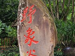 -野象谷景区