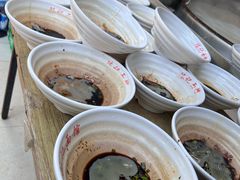 -陈记锅盖面(长江路店)