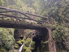 -青城山