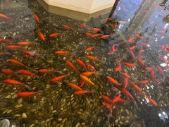 -碧中海汤泉汗蒸酒店