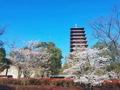 -牛首山文化旅游区