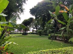-卷心菜和避孕套餐厅(Pattaya)