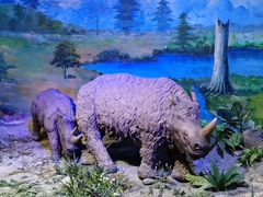 -中国第四纪冰川遗迹陈列馆