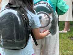 -青岛海尔洲际酒店