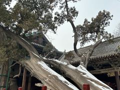 -晋祠公园