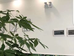 -like you像你烘焙体验店