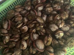 -和源祥·日照菜扛把子(万平口一店)