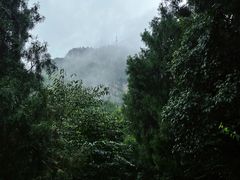-佛慧山
