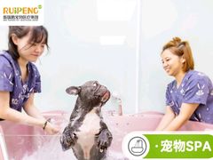 -宠颐生中康贝怡动物医院
