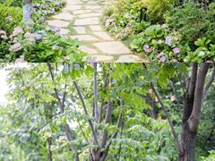 -思念果岭悦温泉