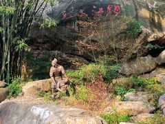 -铁山坪森林公园