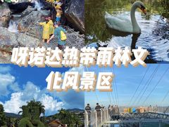 -呀诺达热带雨林