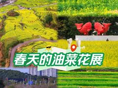 -光明小镇欢乐田园