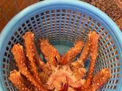 -荔城生鲜盛宴(番禺旗舰店)