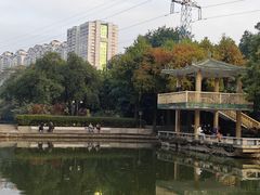 -晓港公园