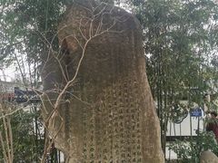 -南汇桃花村