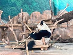 -南宁市动物园
