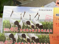 -盐城丹顶鹤湿地生态旅游区