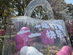 -金鸡湖桃花岛