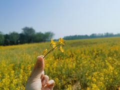 -汉长安城未央宫国家考古遗址公园