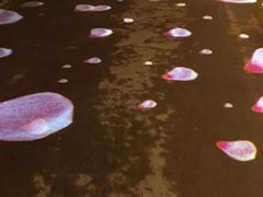 -美味居(古城店)