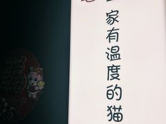 -猫十亿·布偶金渐层·曼基康矮脚猫舍(青年路店)