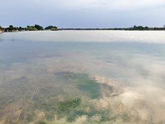 -贡湖湾湿地公园