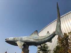 -烟台海昌鲸鲨海洋公园