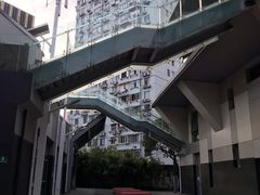 -活水公园