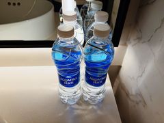 -成都天府丽都喜来登饭店